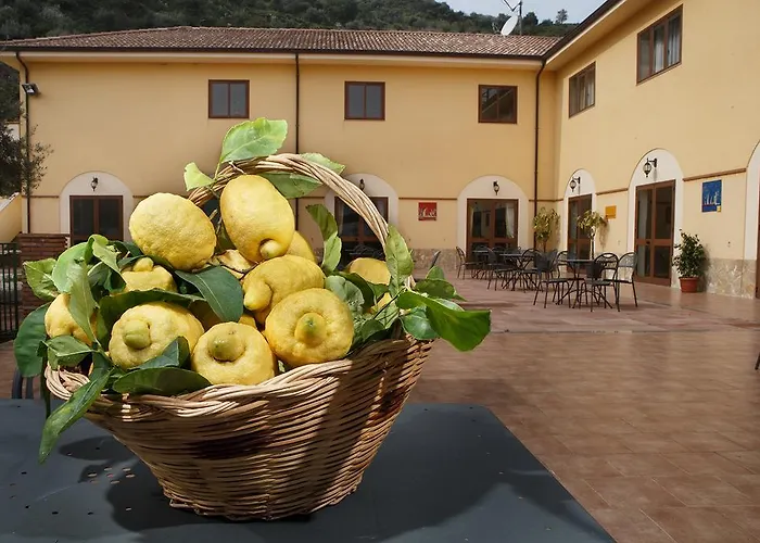 Gospodarstwo agroturystyczne Orchidea Ali Terme