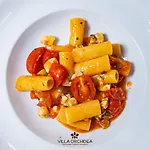 Orchidea 팜스테이 *